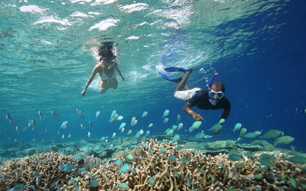 Guided house-reef snorkelling, Baa Atoll