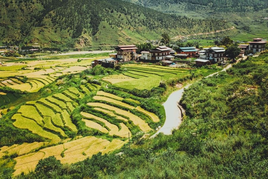 Rice terraces and a village in the Punakha valley