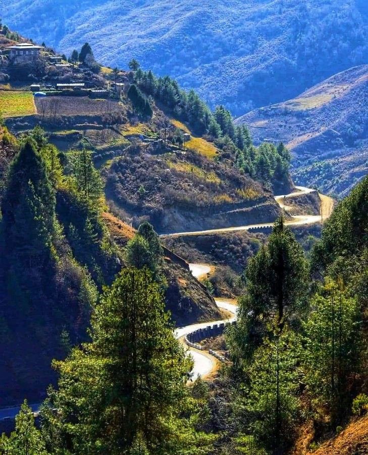 Mountain road winding through a forested Himalayan gorge