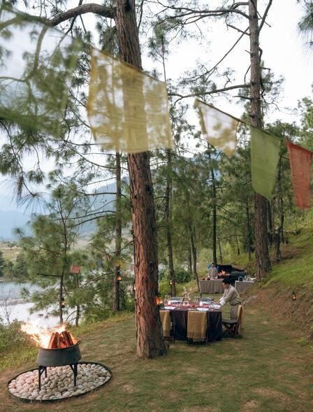 Private picnic set up in a pine grove