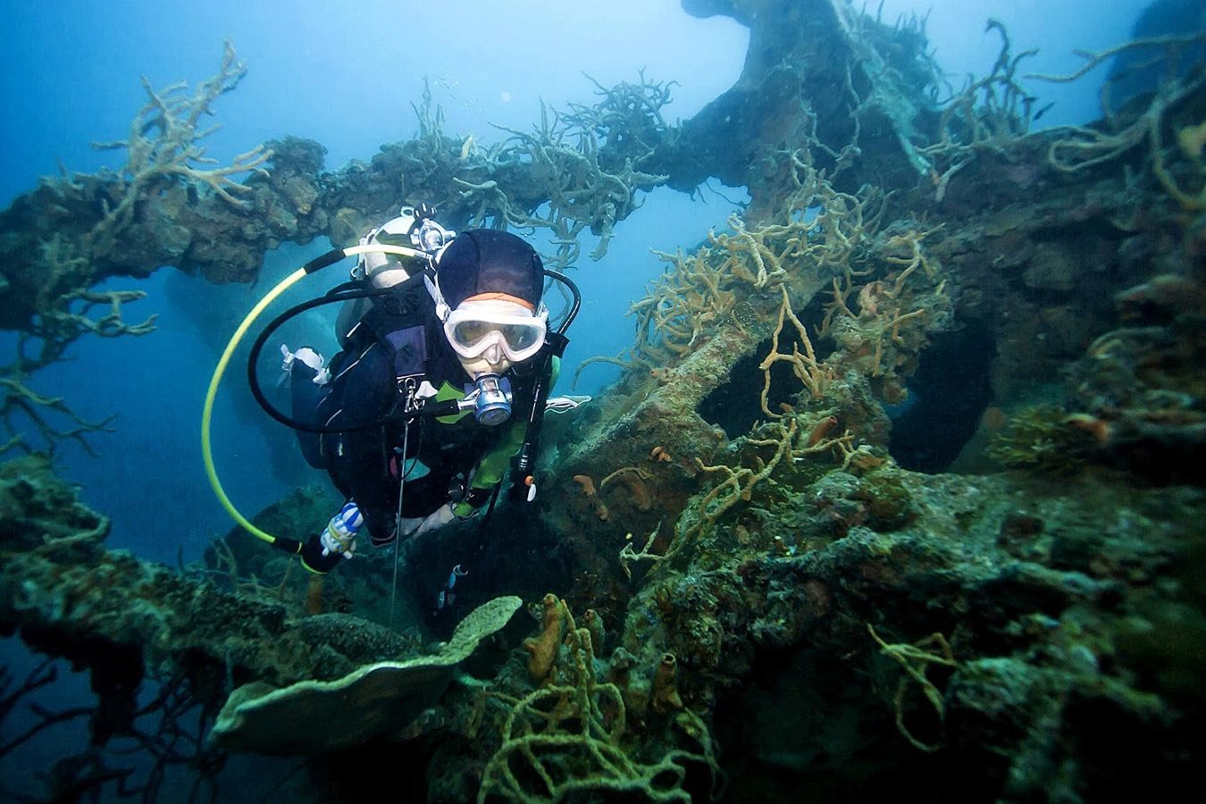 Diver exploring a coral-encrusted WWII wreck in Coron Bay