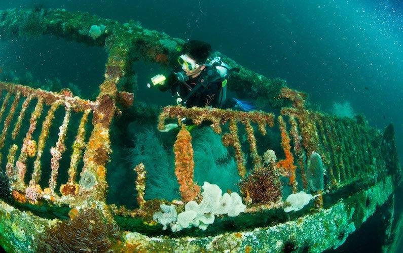 Diver above the coral-encrusted deck of a sunken WWII ship in Coron Bay