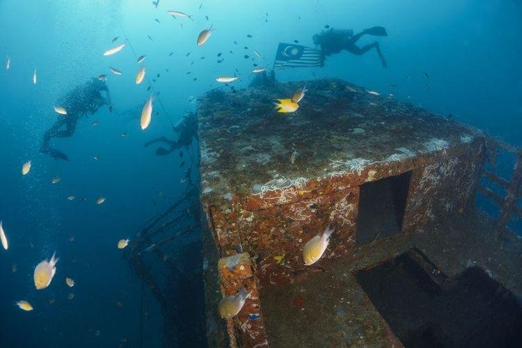 Divers above a wreck&rsquo;s superstructure surrounded by fish