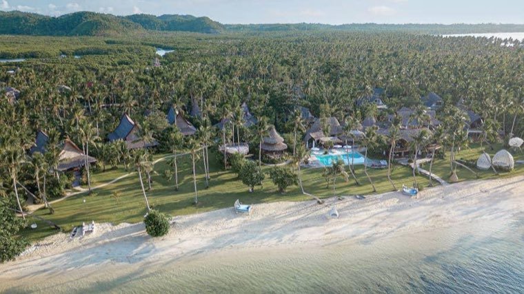 Aerial view of thatched villas and a pool behind a palm-fringed Siargao beach