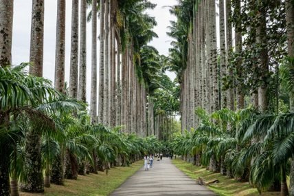 Royal Botanical Gardens, Peradeniya