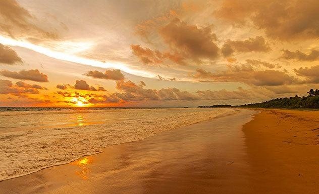 Beach resort at Bentota