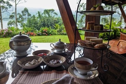 Guided tea plantation walk