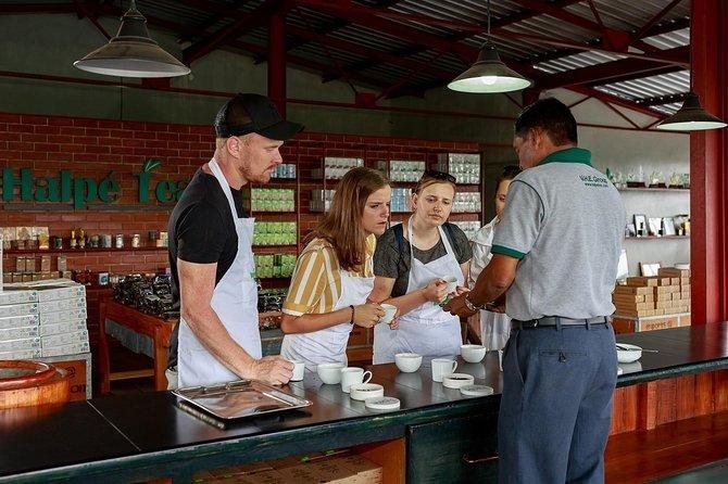 Colonial bungalow dining, Ceylon Tea Trails