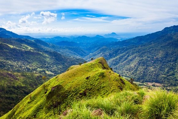 Little Adam&rsquo;s Peak, Ella