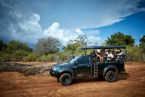 Wildlife of Yala National Park