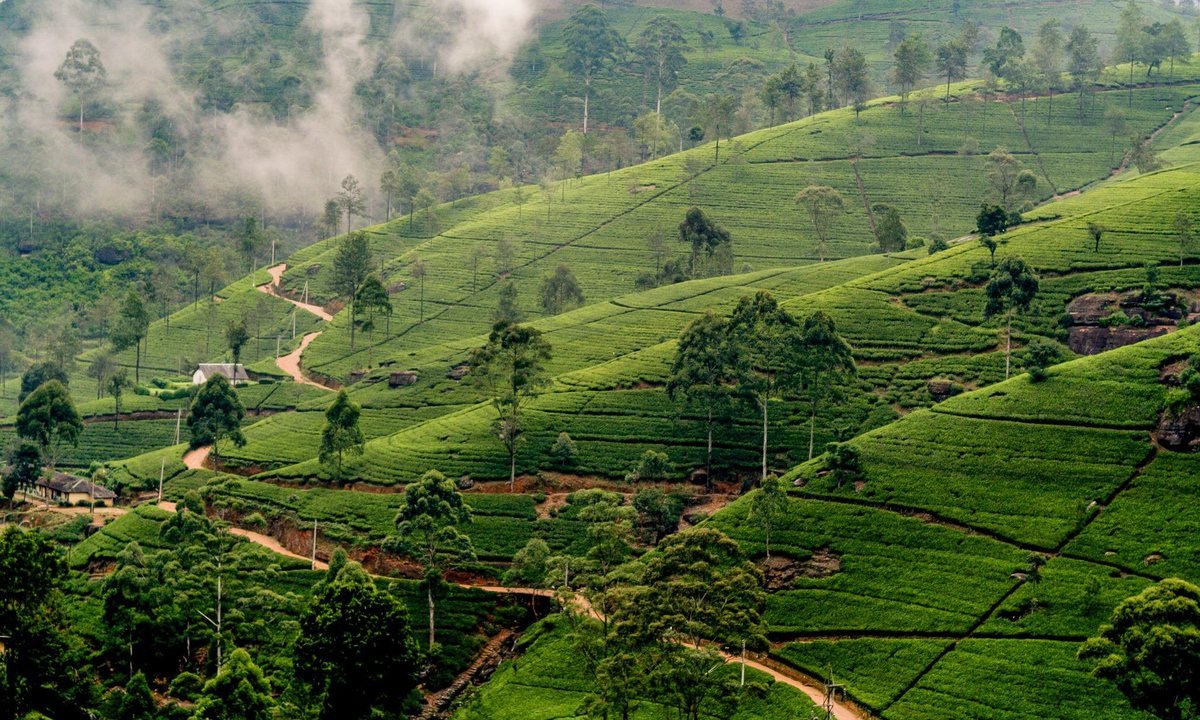 Tea country and southern coast, Sri Lanka