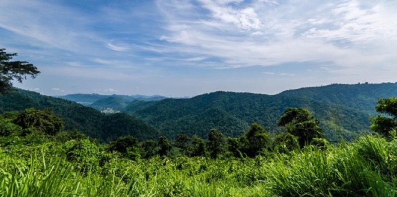 Khao Yai National Park